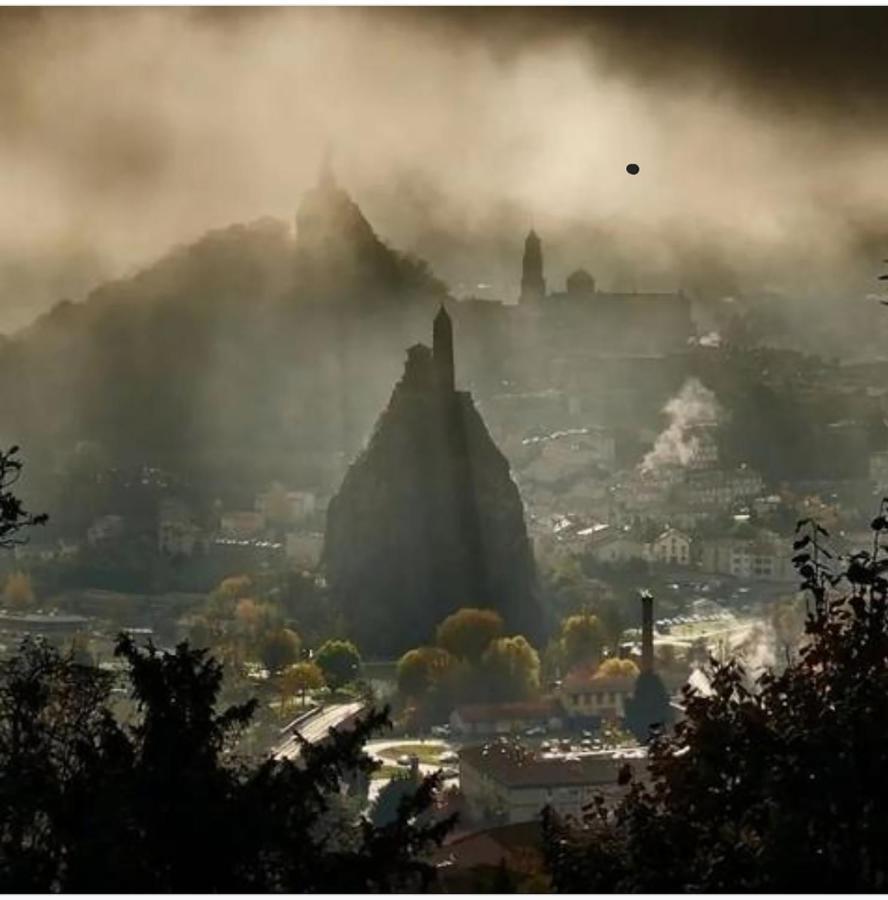 Maison Au Loup - Superbe Ancien Hotel Particulier Du Xvie Siecle Au Coeur De La Vieille Ville Du Puy Le Puy-en-Velay 外观 照片